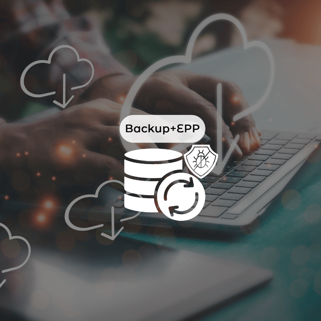 Data Protection: Backup+End Point Protection - netdefense.se